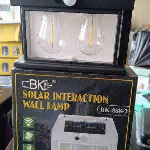 Double Solar Rechargeable Sensor Security Light