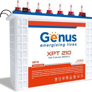 Genus 220Ah/12v Tubular battery
